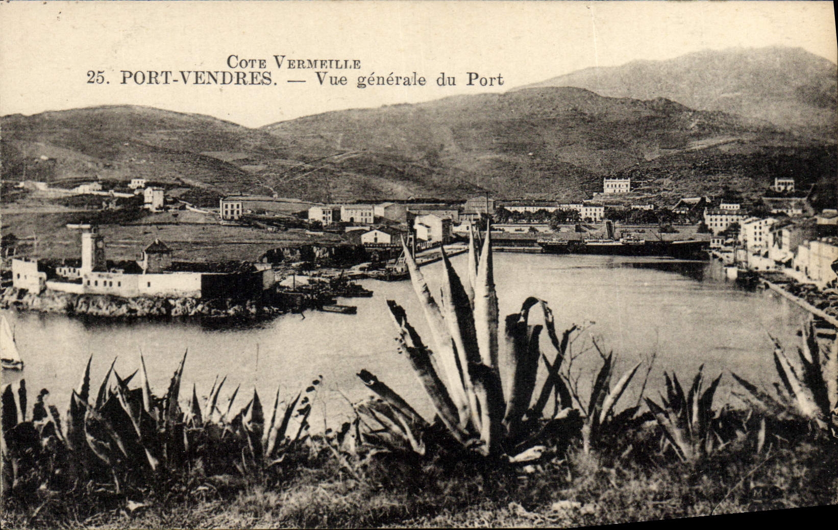 CPA Port Vendres Vue generale du port Cactus Bateau 