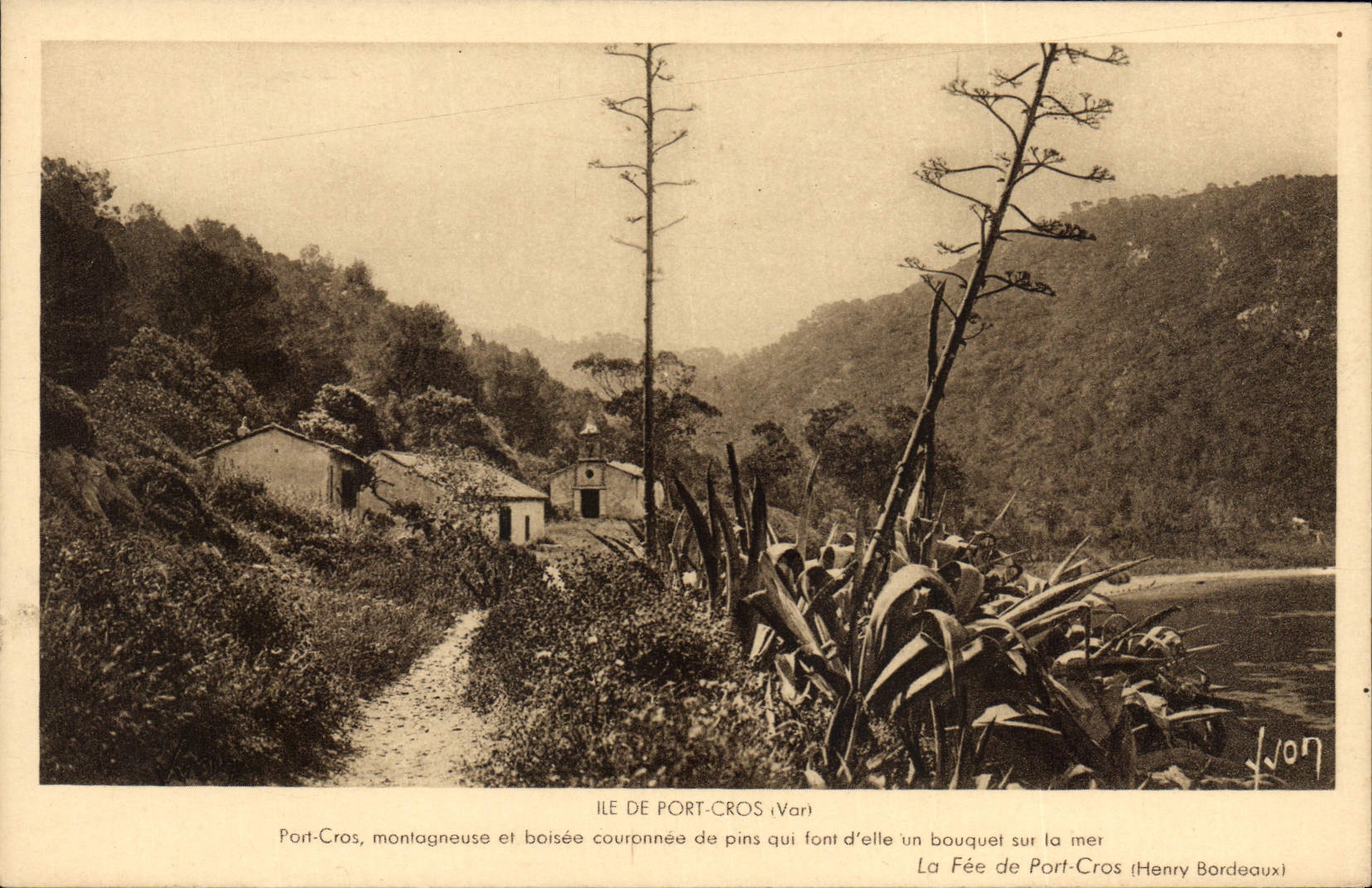 CPA Ile port CRos La fee de Port Cros Cactus 