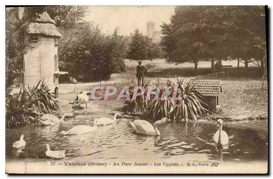 CPA Valence Au parc jouvet Les cygnes 