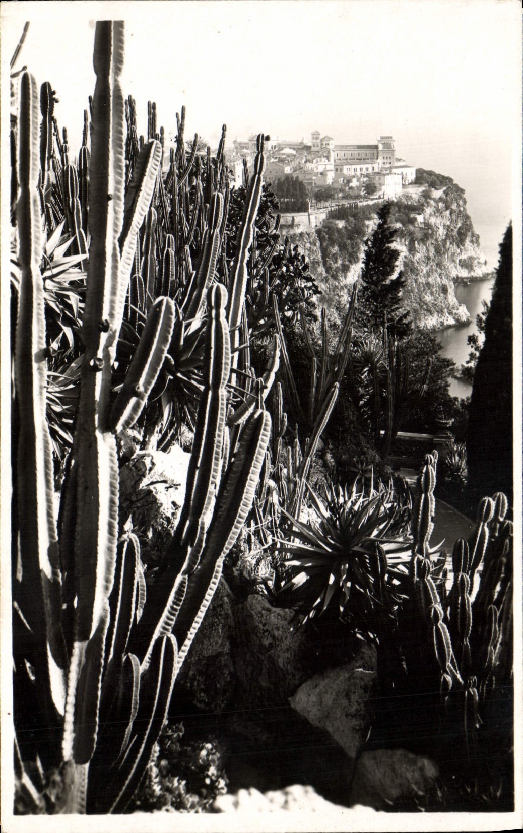 CPM Monaco Les jardins exotiques 