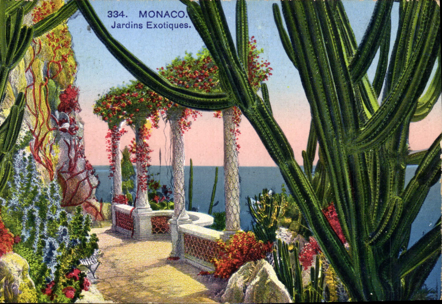 CPA Monaco Jardins exotiques 