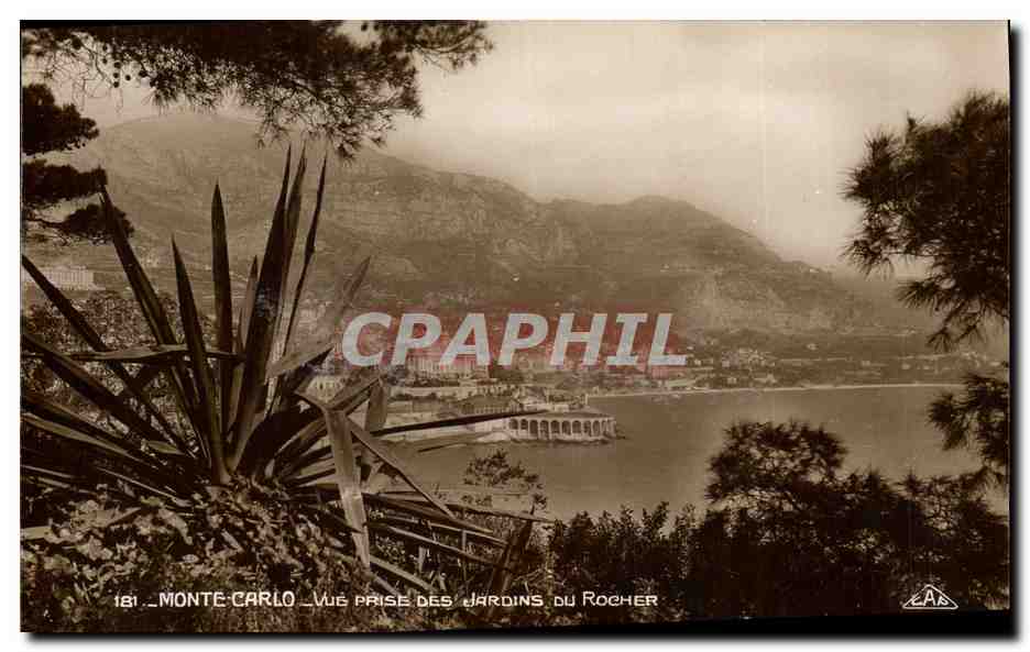 CPA Monaco Vue prise des jardins du Rocher Cactus 