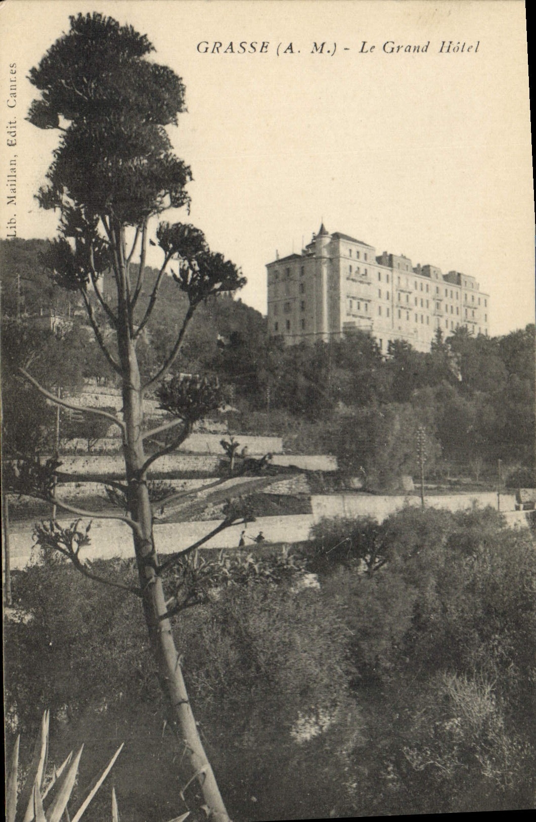 CPA Grasse Le Grand Hotel 