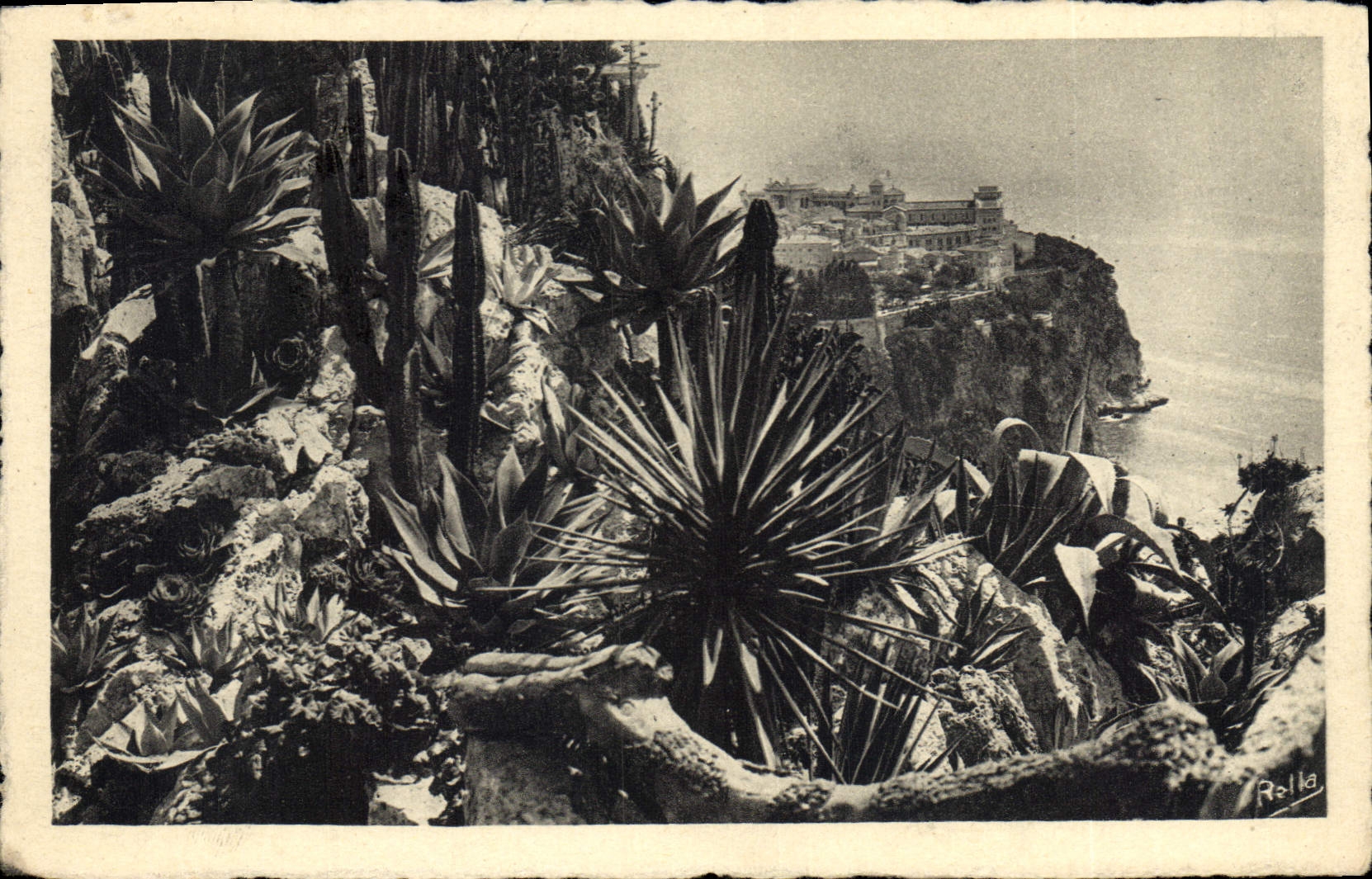 CPA Monte Carlo Les jardins exotiques et le rocher de Monaco 