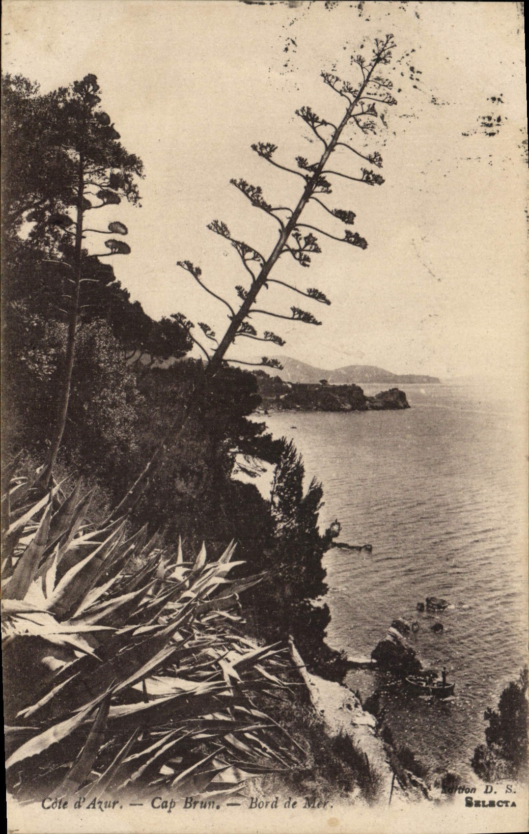 CPA Cap Brun Bord de mer 