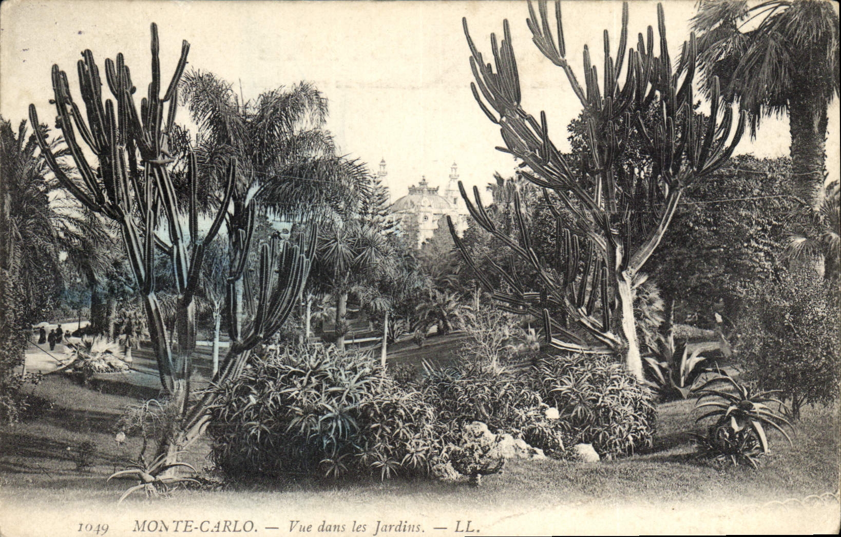 CPA Monte Carlo Vue dans les jardins 