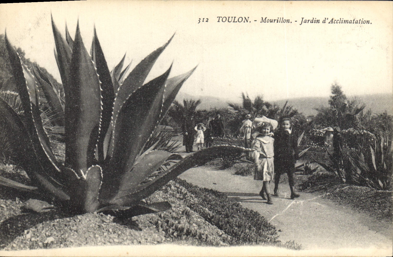 Toulon - Mourillon - Jardin d'Acclimatation — éditeur Paris Imp. Phototypiques, n° 312