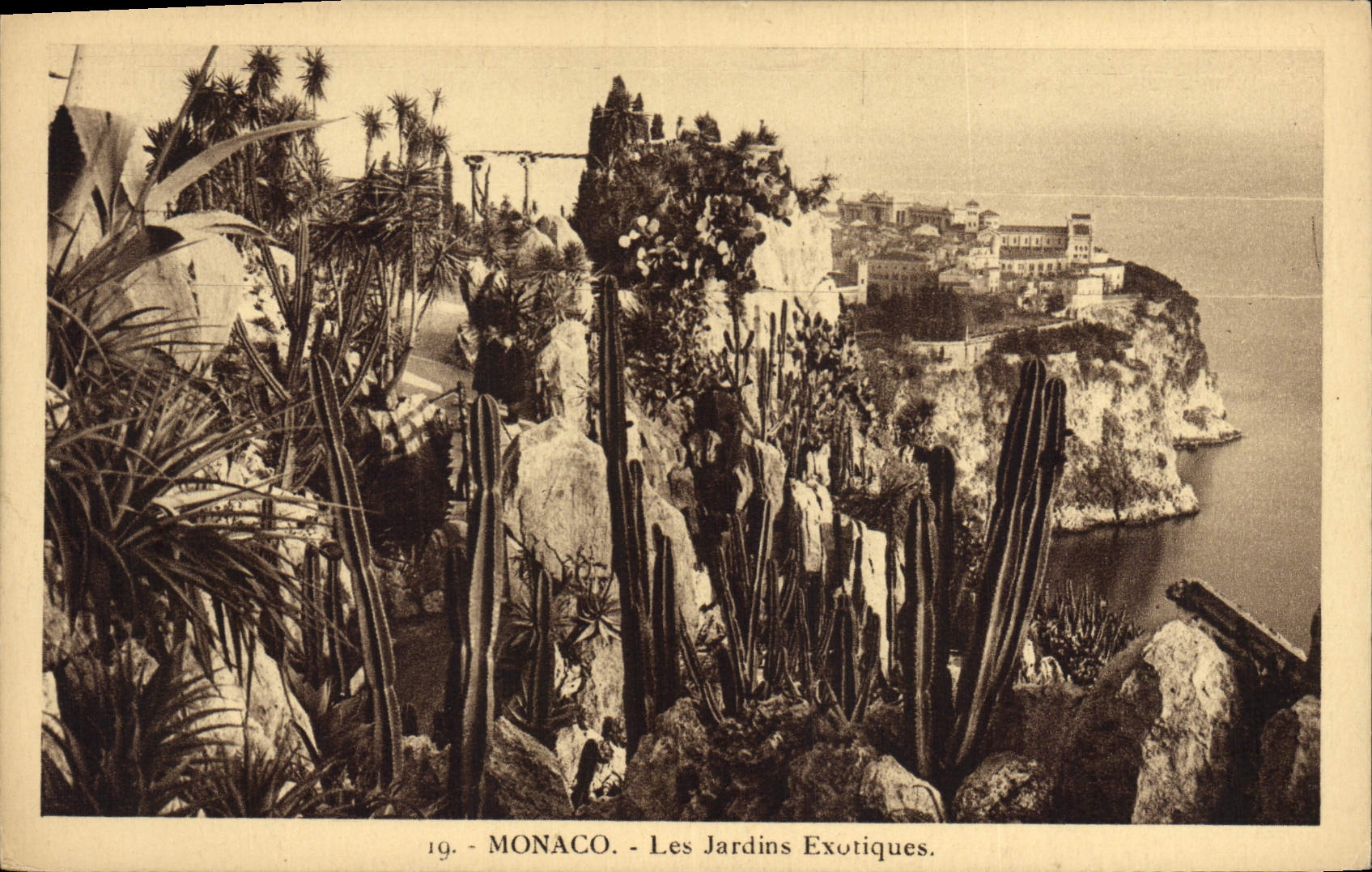 CPA Monaco Les jardins exotiques 