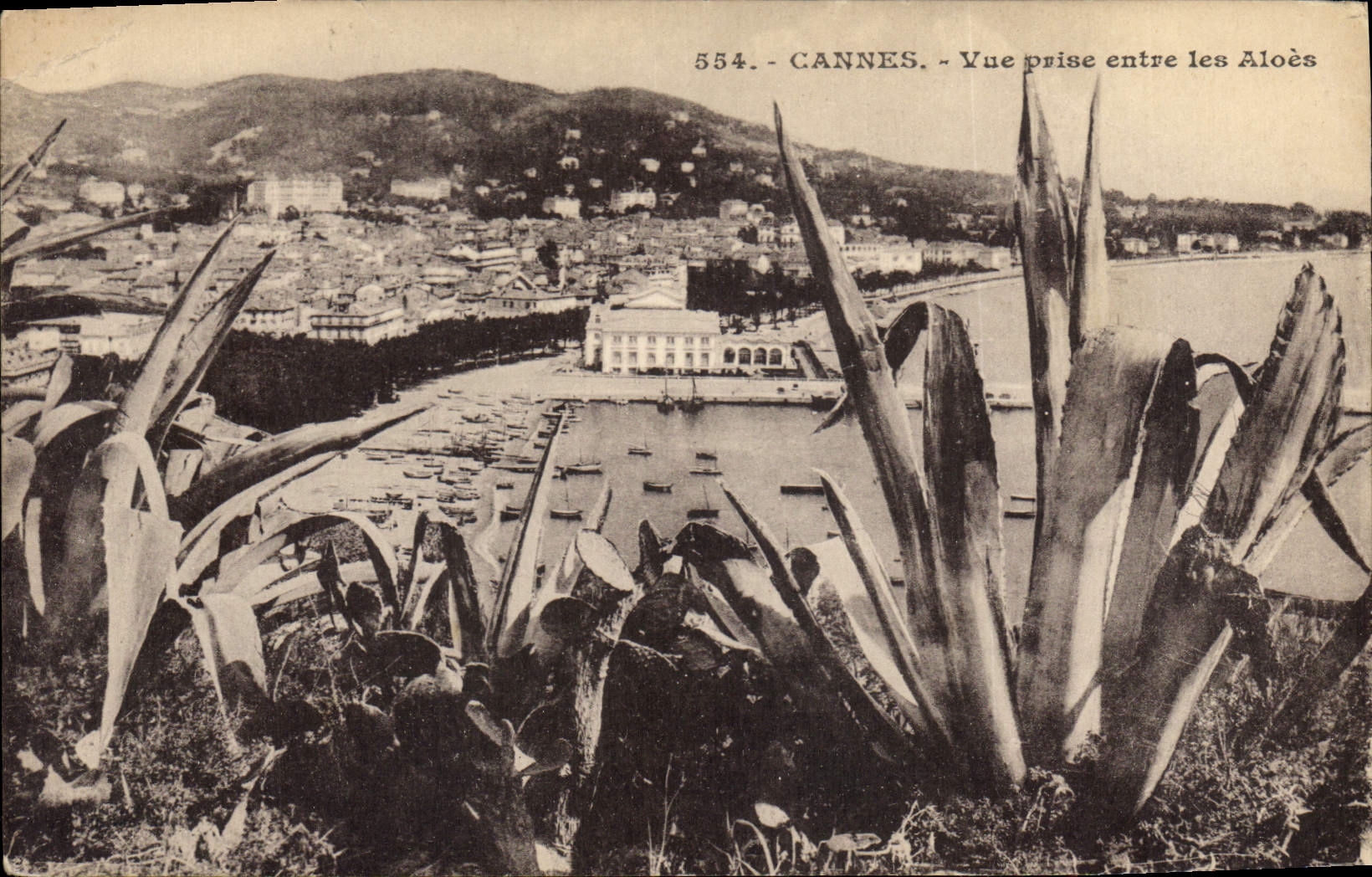CPA Cannes Vue prise entre les Aloes Cactus 