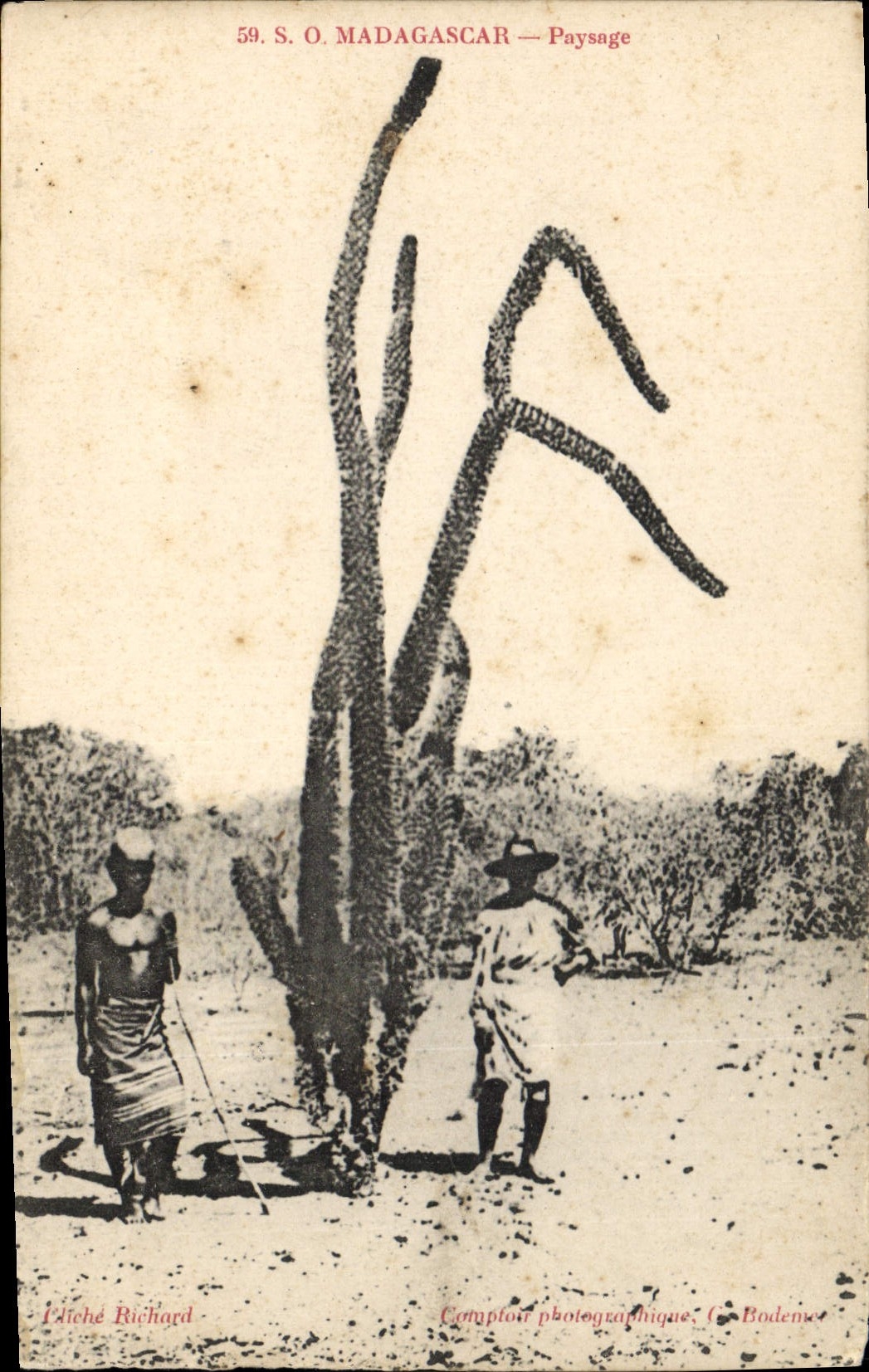 Madagascar — Paysage — Comptoir photographique C. Bodenex
