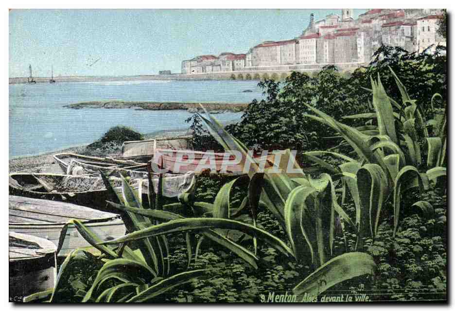 CPA Menton Aloes devant la ville 