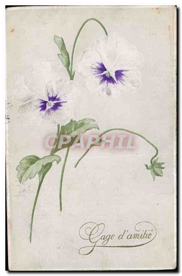 CPA Fantaisie Fleurs 