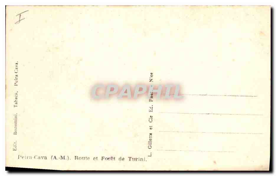 CPA Arbre Peira Cava Route et foret de Turuni  — Verso