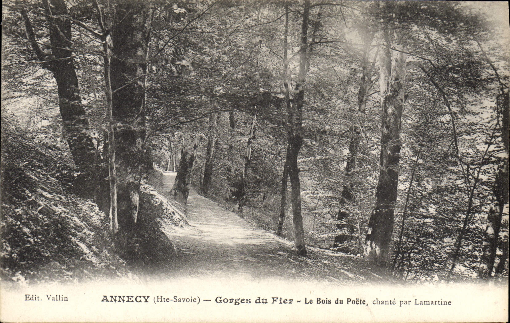 CPA Arbre Annecy Gorges du Fier Le bois du poete chante par Lamartine 