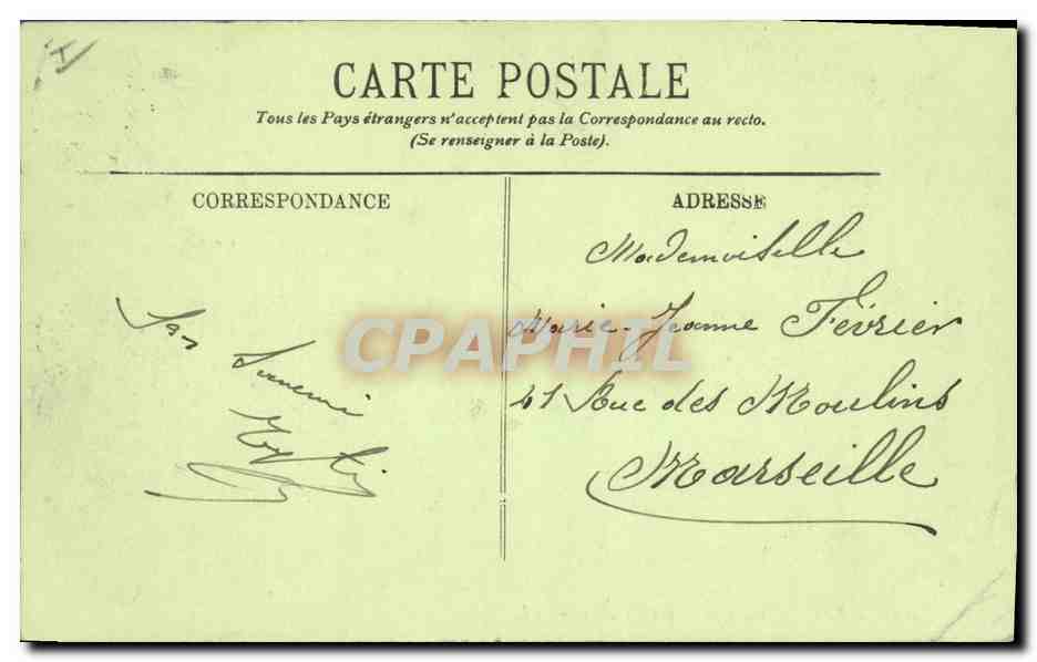 CPA Arbre Saint Raphael Allee des Mimosas  — Verso
