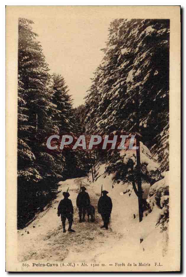 CPA Arbre Peira Cava Foret de la Mairis Chasseurs Alpins Militaria 