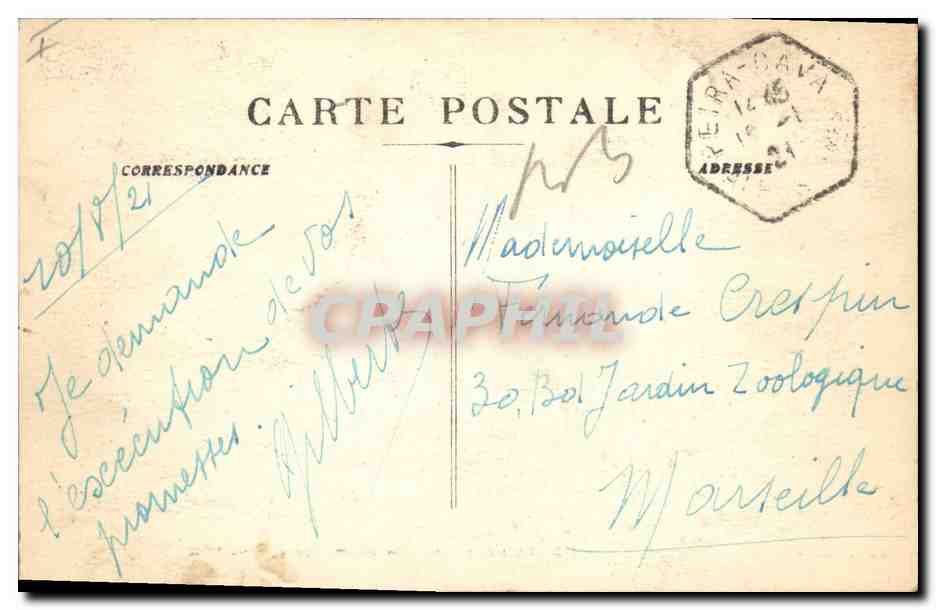CPA Arbre Peira Cava Un coin de foret  — Verso