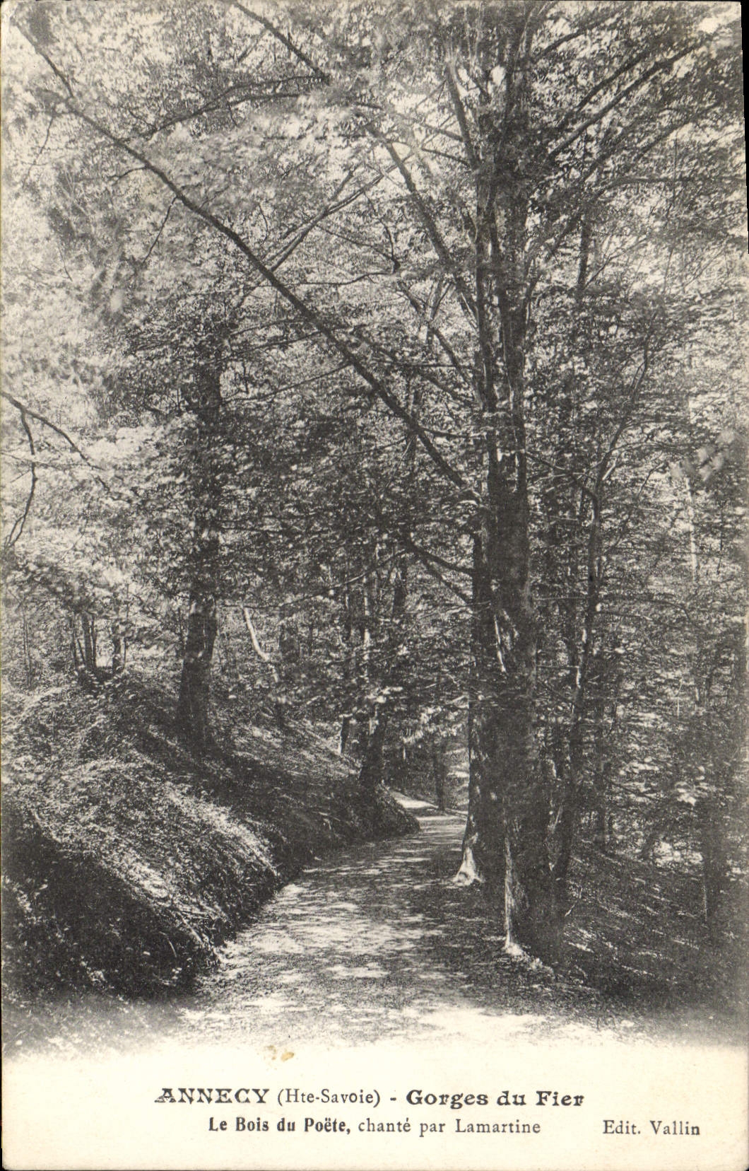 CPA Arbre Annecy Gorges du Fier Le bois du poete Lamartine 