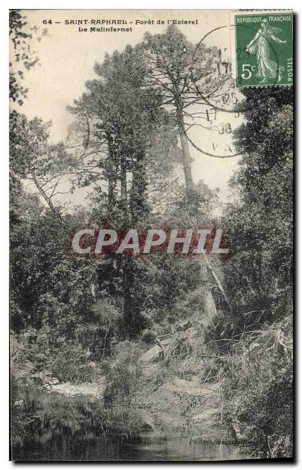 CPA Arbre Saint Raphael Foret de l'Esterel Le Malinfernet 