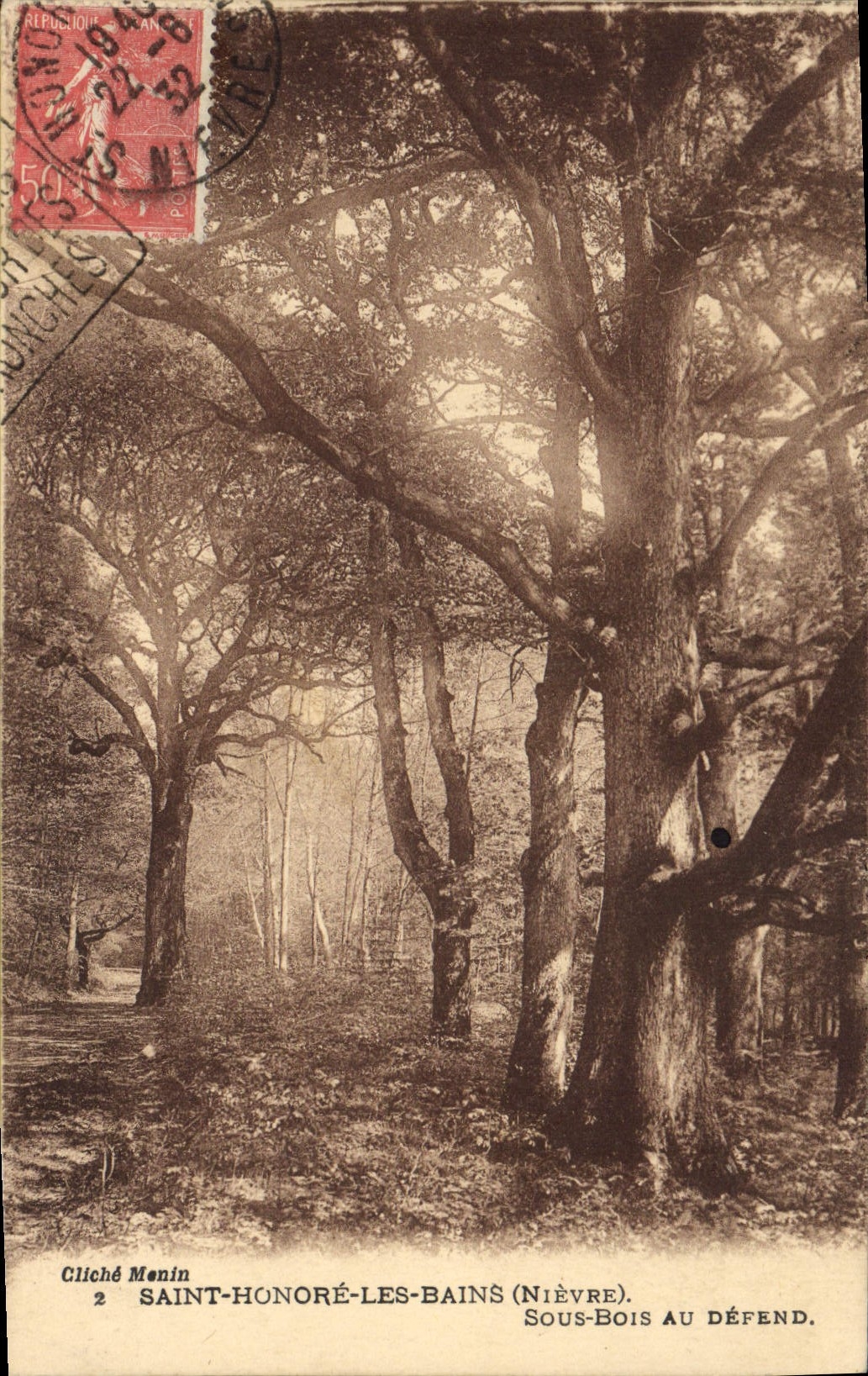 CPA Arbre Saint Honore les Bains Sous bois au defend 