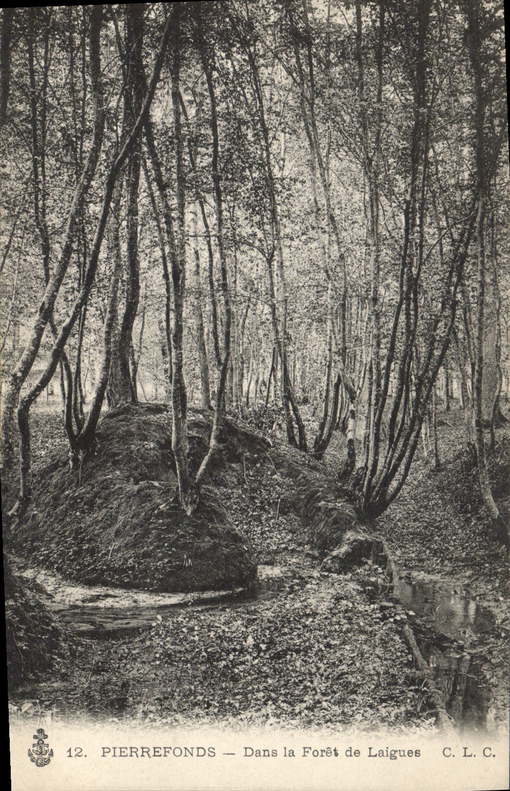 CPA Arbre Pierrefonds Dans la foret de Laigues 