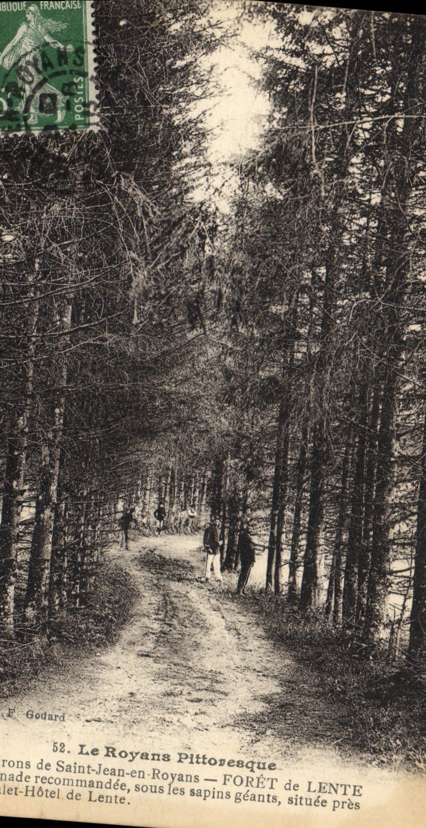 CPA Arbre Royans Environs de Saint Jean en Royans Foret de Lente pres du Chalet Hotelde Lente 
