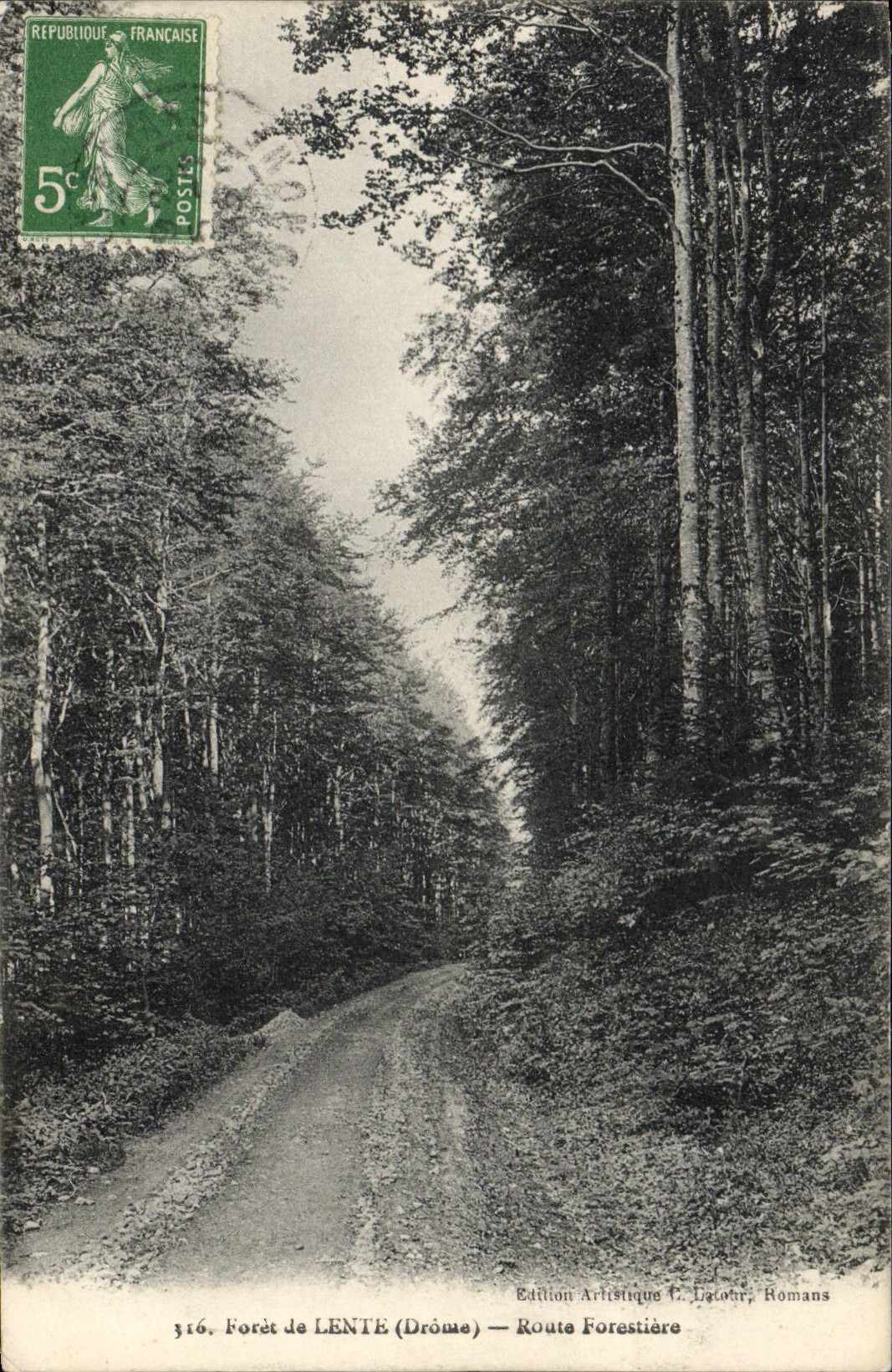 CPA Arbre Foret de Lente Route forestiere 
