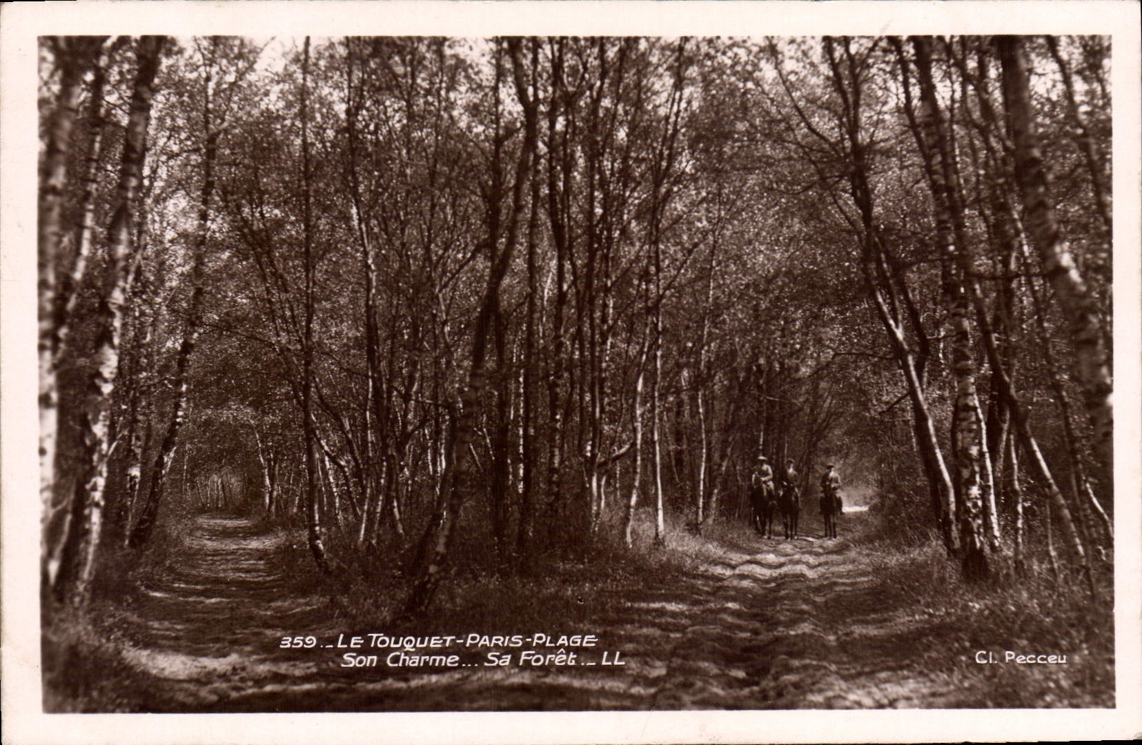 CPA Arbre Le Touquet Paris Plage Son charme Sa foret 