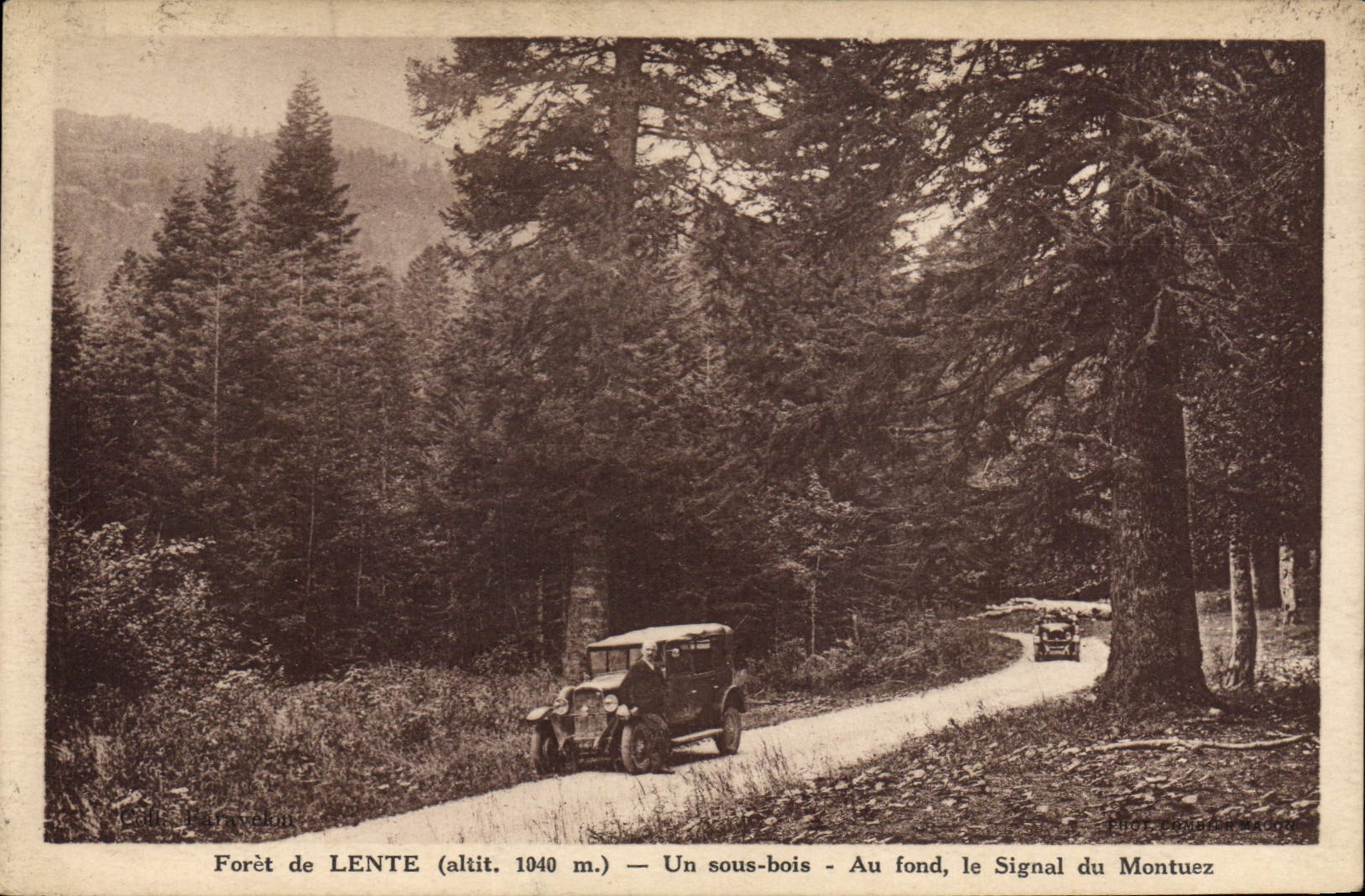 CPA Arbre Foret de Lente Un sous bois Au fond le signal du Montuez 