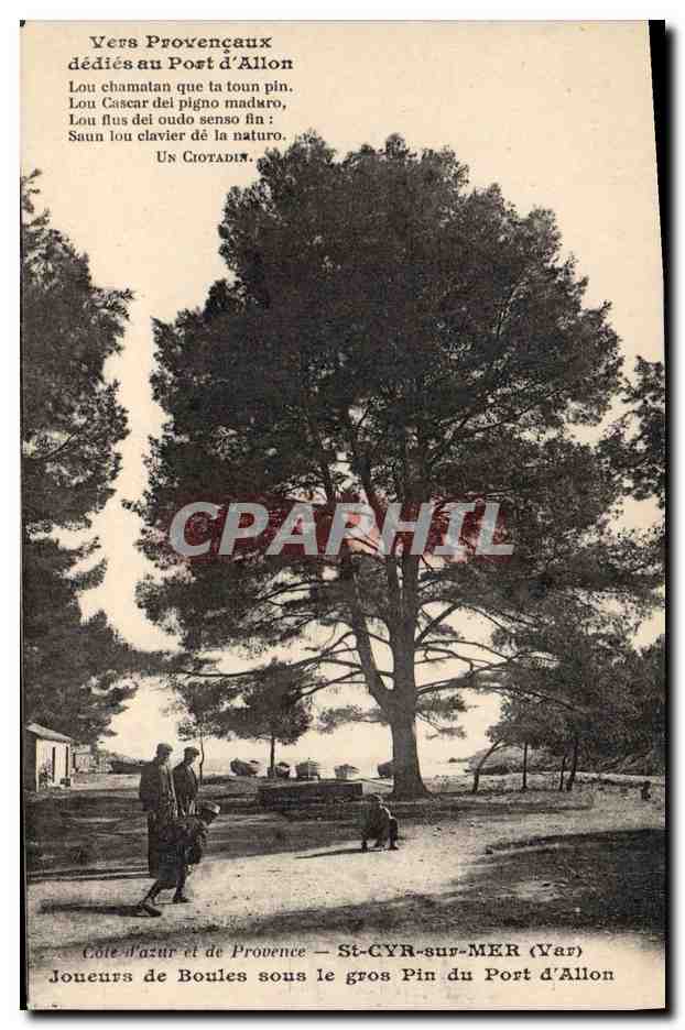 St-Cyr-sur-Mer (Var) — El gran pino del puerto de Allon — Editor: Un Ciotadin