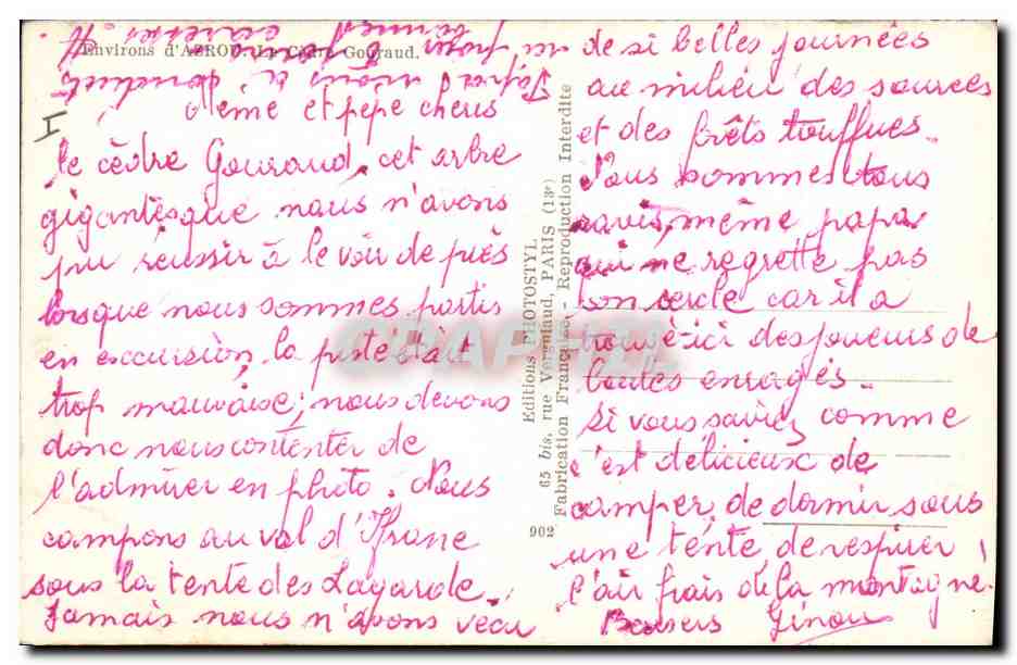 CPA Arbre Environs d'Azrou Le Cedre Gouraud  — Verso
