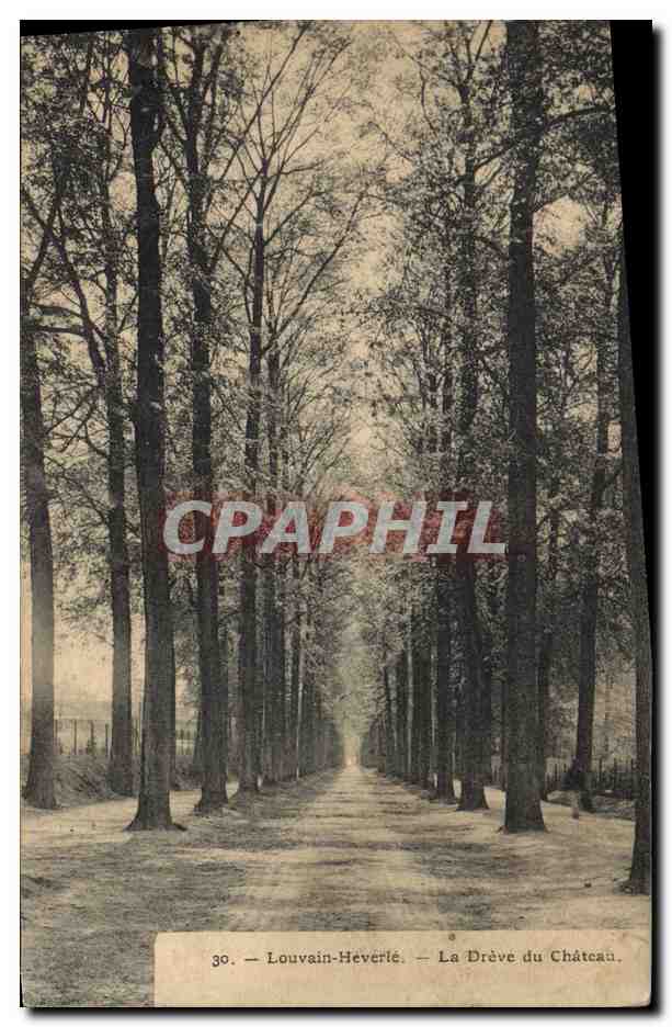 CPA Arbre Louvain Heverle La Dreve du chateau 