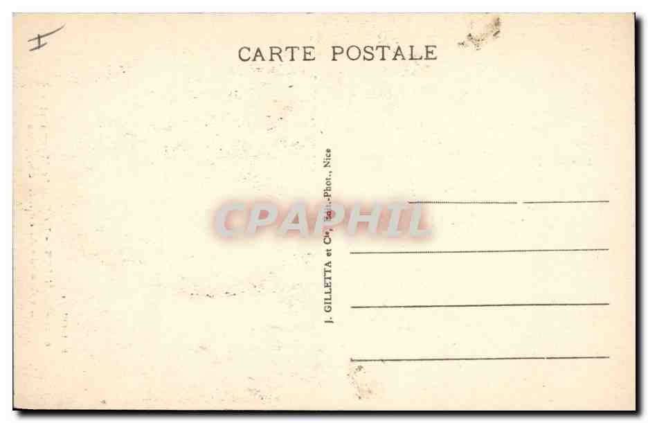 CPA Arbre Cannes Ile Sainte Marguerite La grande allee d'eucalyptus  — Verso