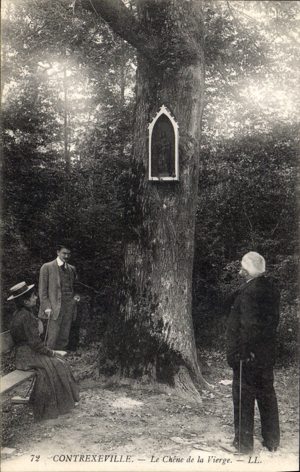CPA Arbre Contrexeville Le chene de la vierge 