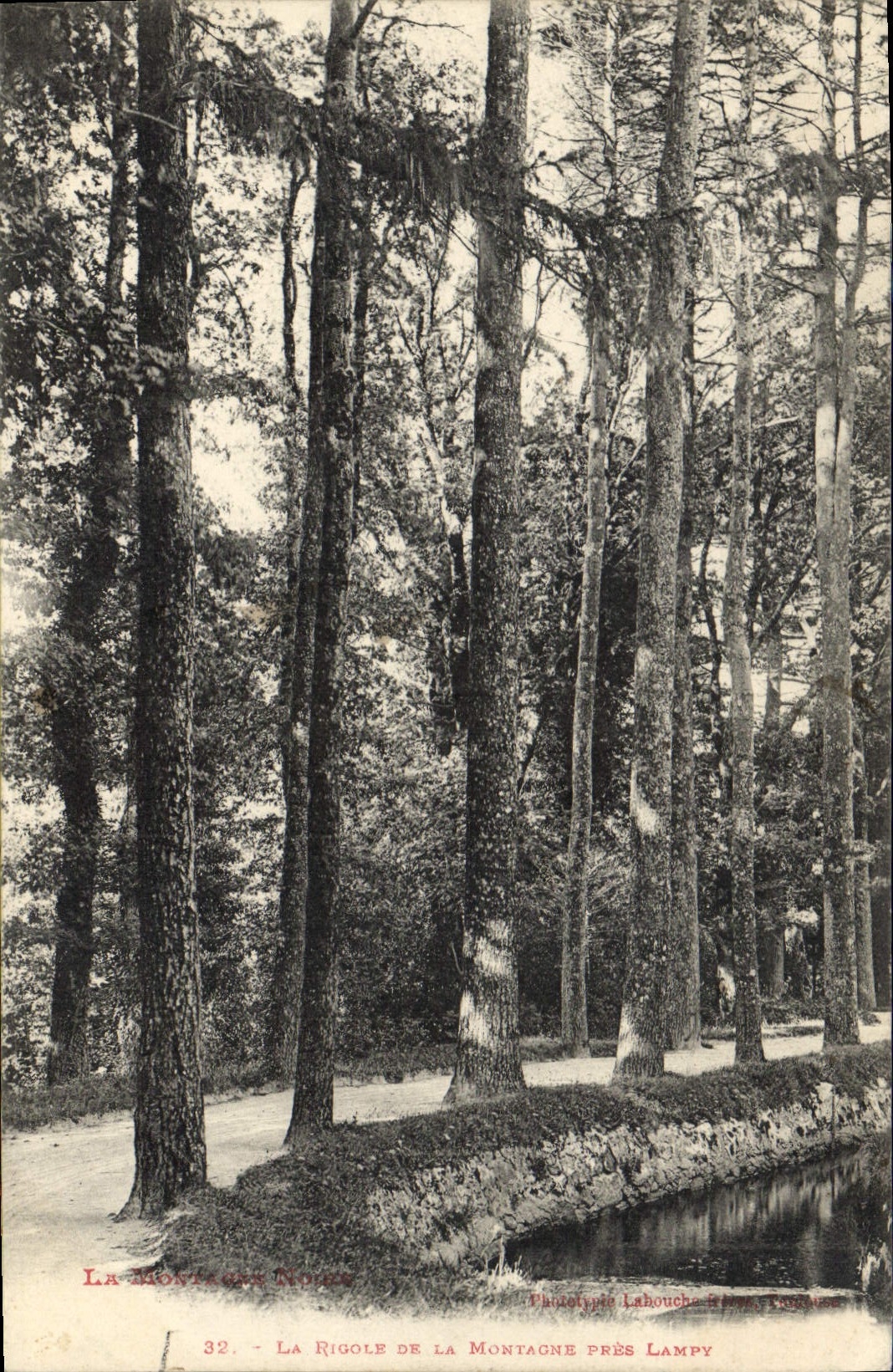 CPA Arbre La rigole de la montagne pres lampy 