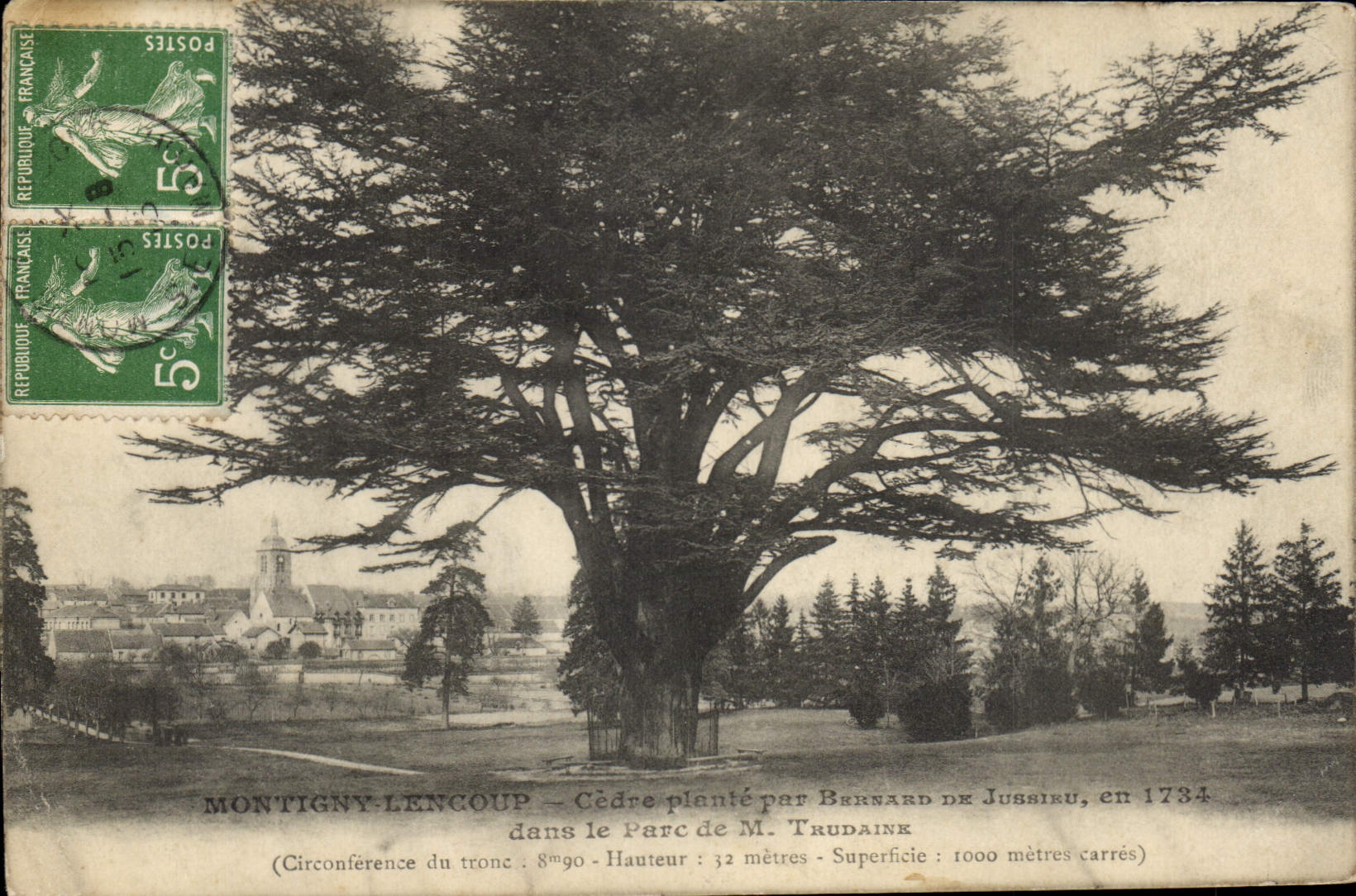 CPA Arbre Montigny Lencoup Cedre plante par Bernard de Jussieu dans le parc de M Trudaine 