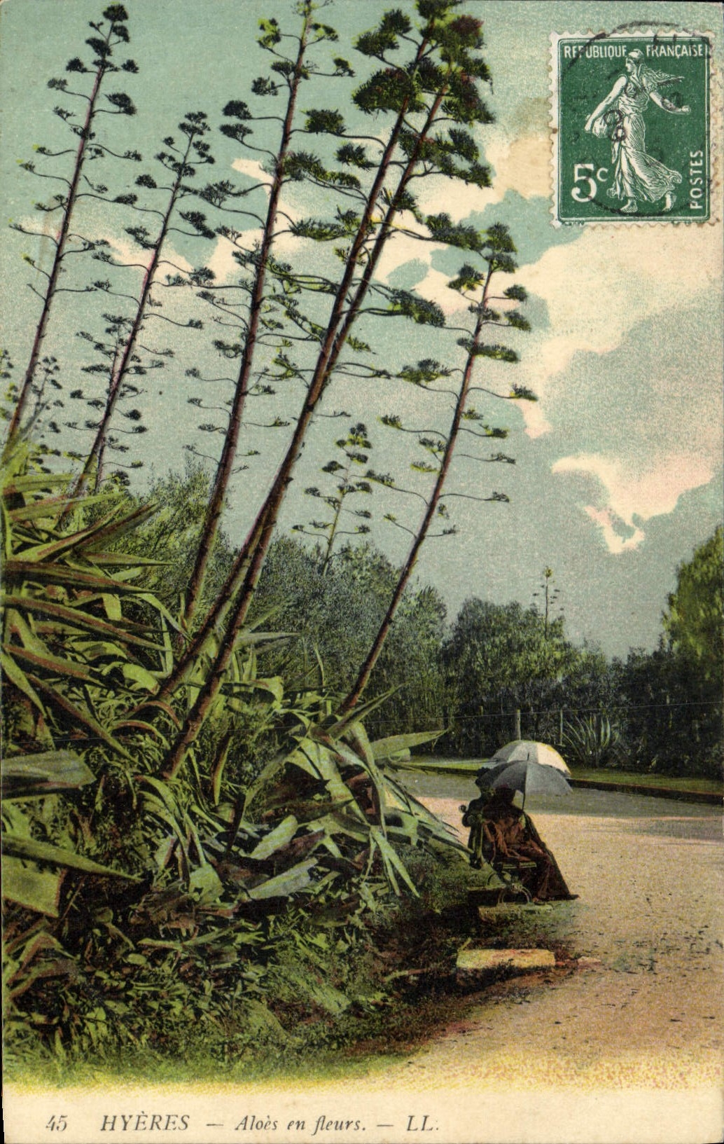 CPA Fleurs Hyeres Aloes en fleurs 