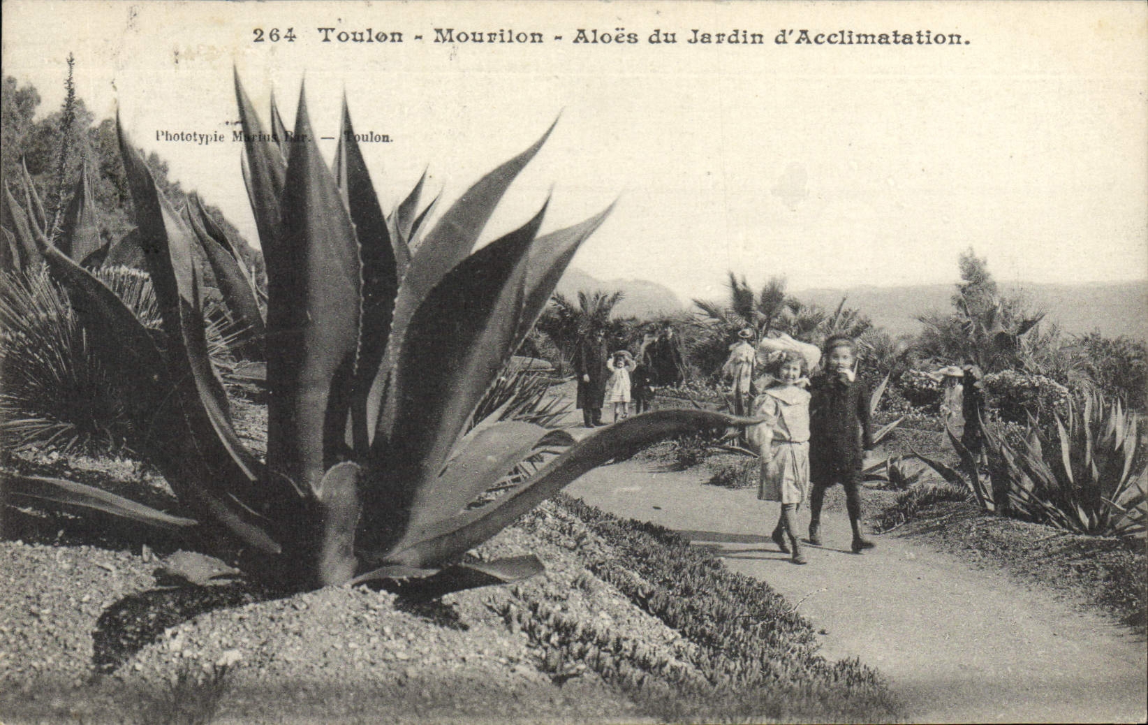CPA Fleurs Toulon Morillon aloes du jardin d'acclimation Enfants 