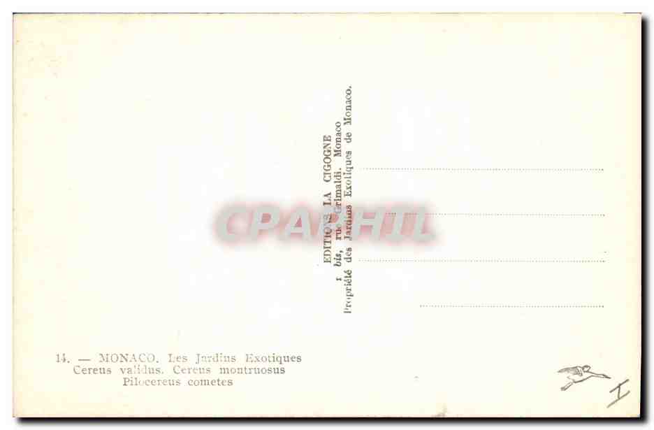 CPM Fleurs Les jardins exotiques Cereus validus Monstruosus  — Verso