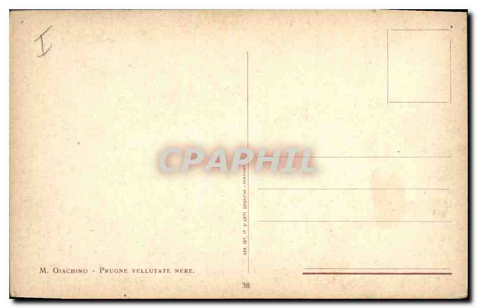CPA Prunes  — Verso