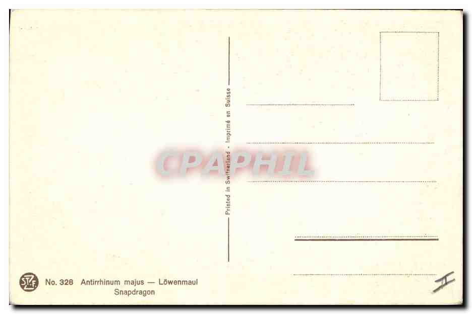 CPA Fantaisie Fleurs Snapdragon — Verso