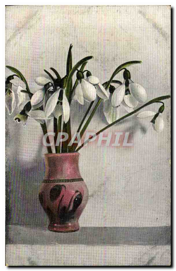 CPA Fantaisie Fleurs 