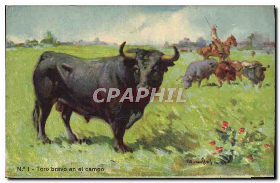 CPA Corrida Course de taureaux Toro bravo en el campo 