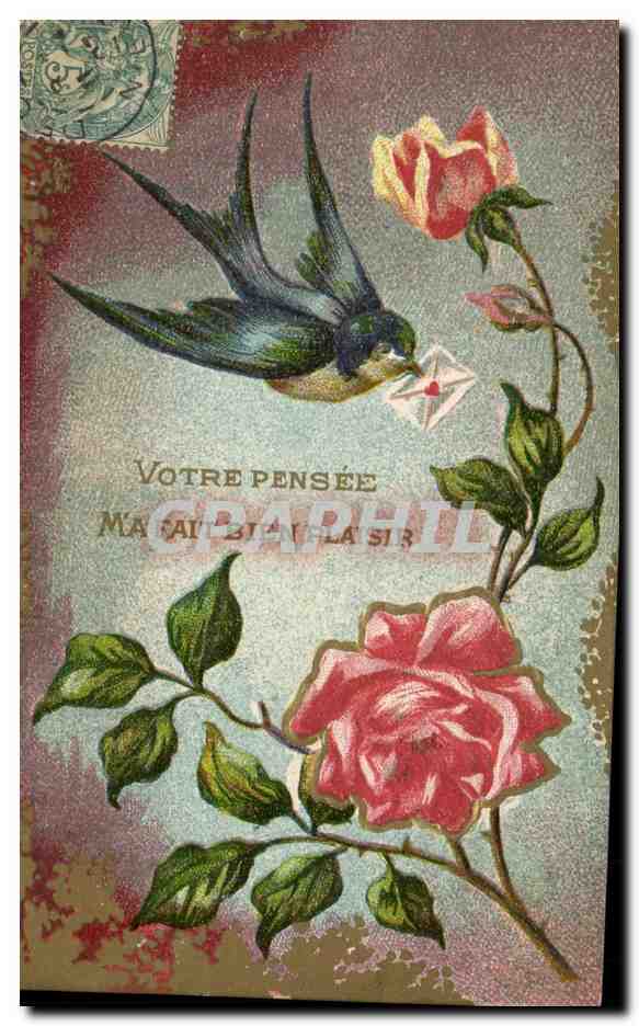 Oiseau et rose — Votre pensée me fait bien plaisir — Union postale universelle