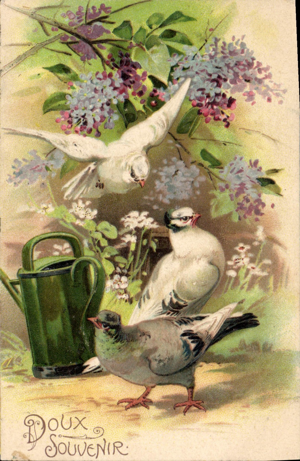 CPA Fantaisie Fleurs Oiseaux 