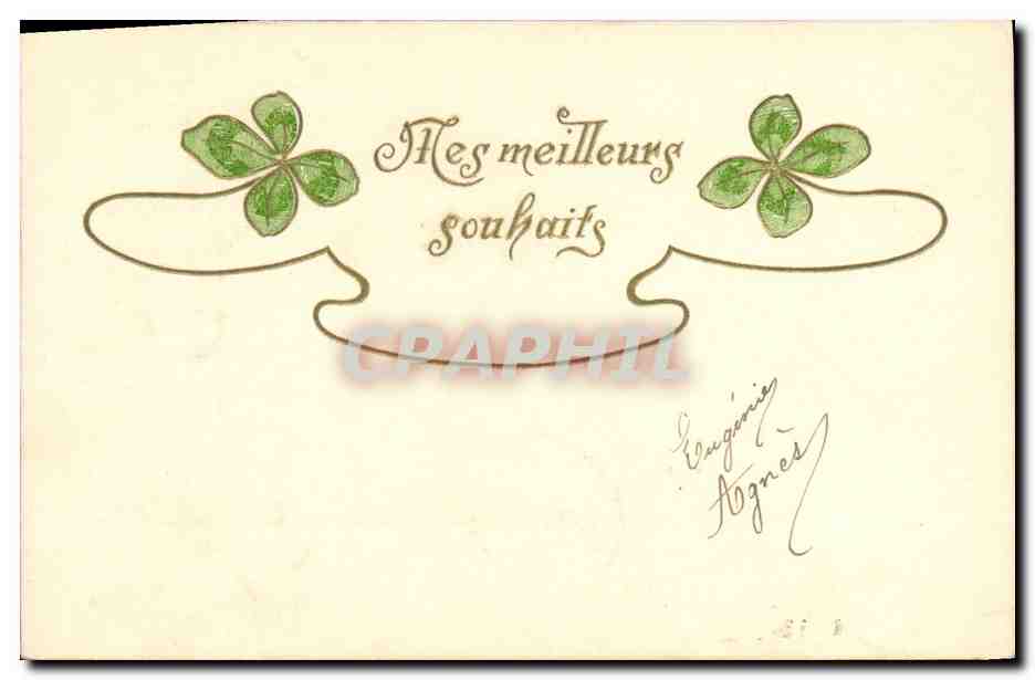 CPA Fantaisie Fleurs Trefles 