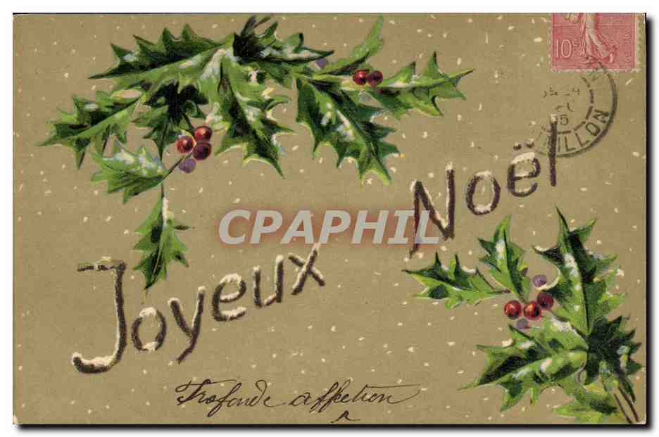 CPA Fantaisie Fleurs Noel 