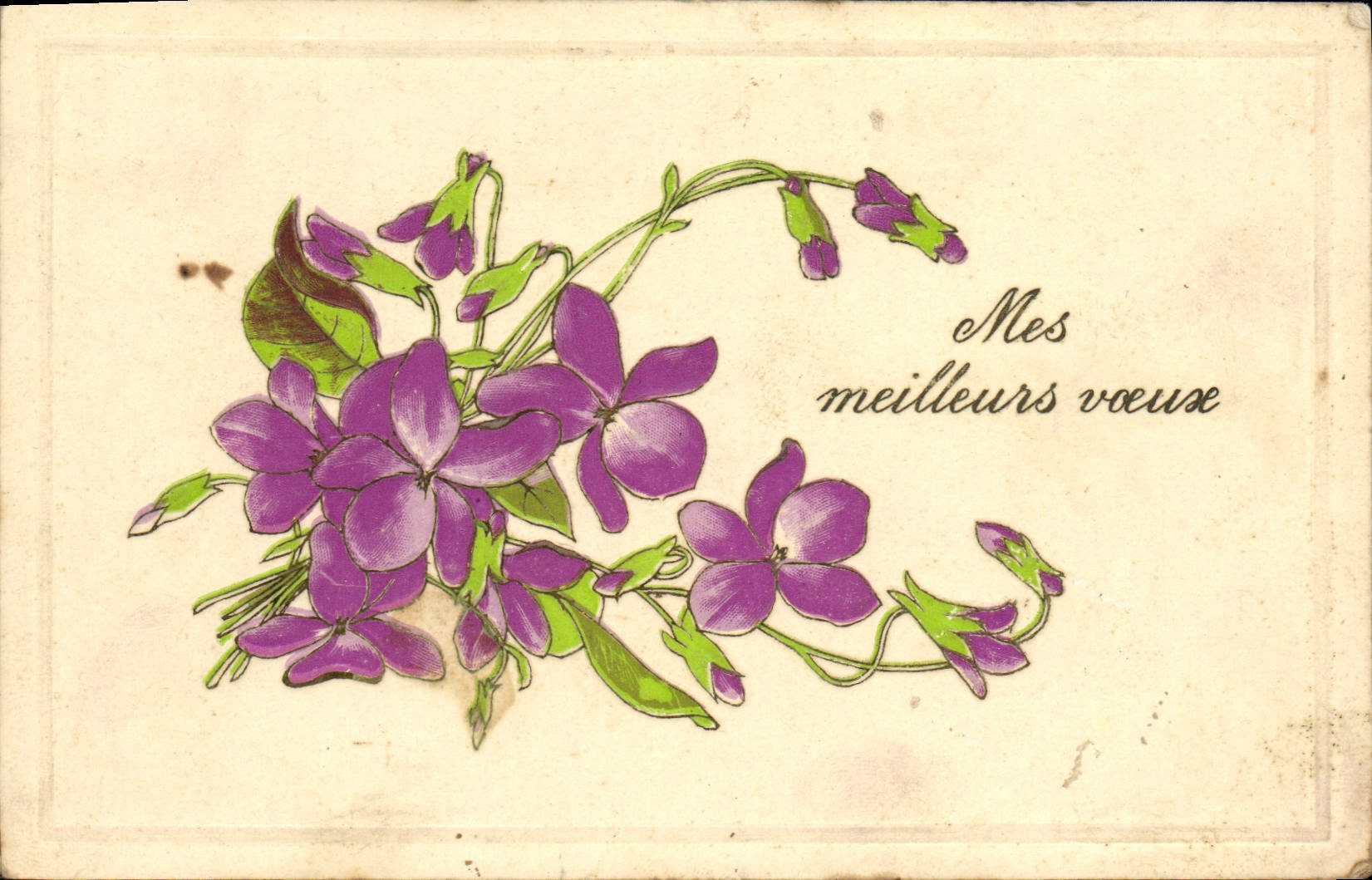 CPA Fantaisie Fleurs 