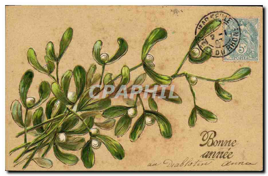 CPA Fantaisie Fleurs 