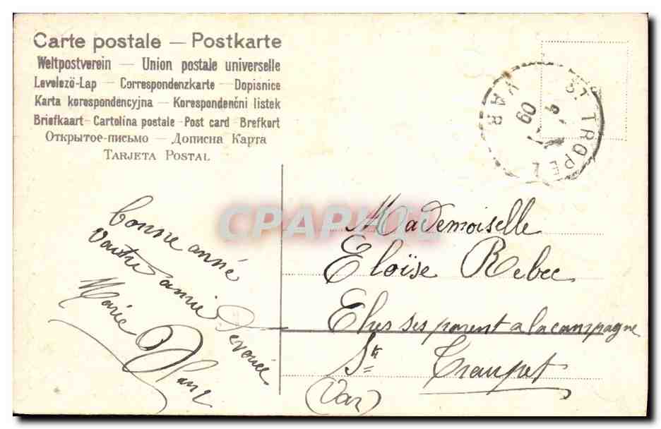 Fleurs — Roses et bleuets — Souvenir — Éditeur non visible — Rückseite